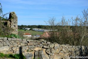 The battle of Fuentes d’Onoro was a near miss for Wellington’s army