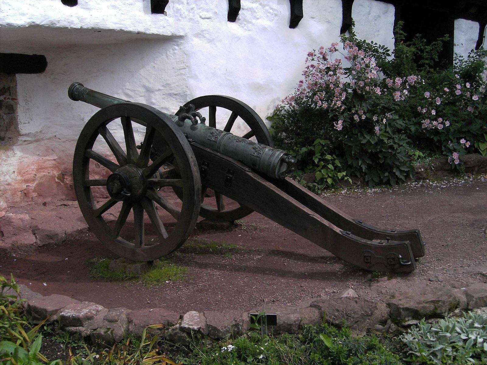 Cannon